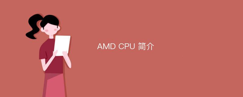 AMD CPU 简介